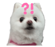 843789798