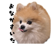843789802
