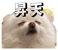 843789804