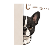 843789939