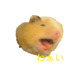 843789957