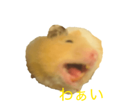 843789957