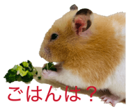 843789960