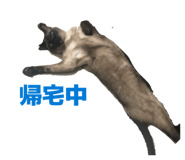 843789963