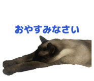 843789967
