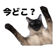843789969