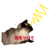 843789979