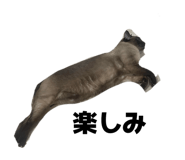 843789980