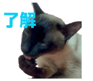 843789984