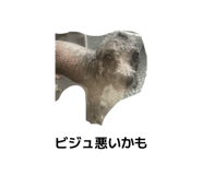 843790271