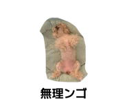 843790277