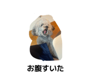 843790278