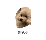 843790285