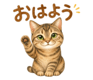 843790403