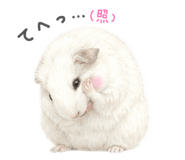 843791186