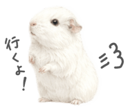 843791187