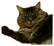 843791893