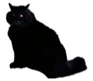 843791902
