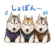 843792020