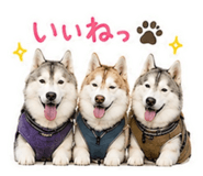 843792023