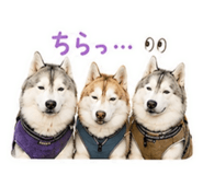 843792032