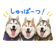 843792033