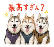 843792036