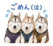 843792040