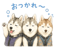 843792042