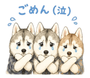 843792046