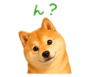 843792621