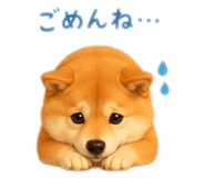 843792623