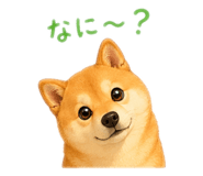 843792633