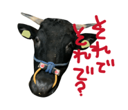 843792882