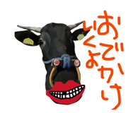 843792885