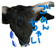 843792887