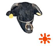 843792890