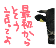 843792891