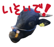 843792893