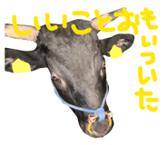 843792894