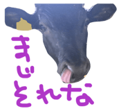 843792895