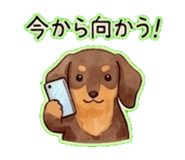 843793107
