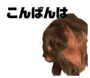 843793339