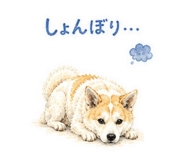 843793388