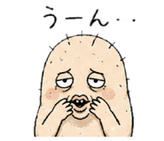843794054