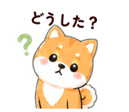 843794122
