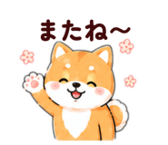843794124