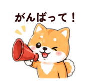 843794127
