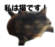 843794887