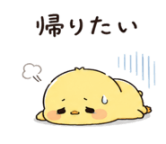843795519